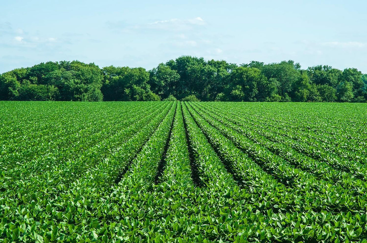 Soy Wax Melts, Bleu Ocean Lagoon Volcano Wax Melts Made with 100% Soy and Essential Fragrance Oils Pack of 3