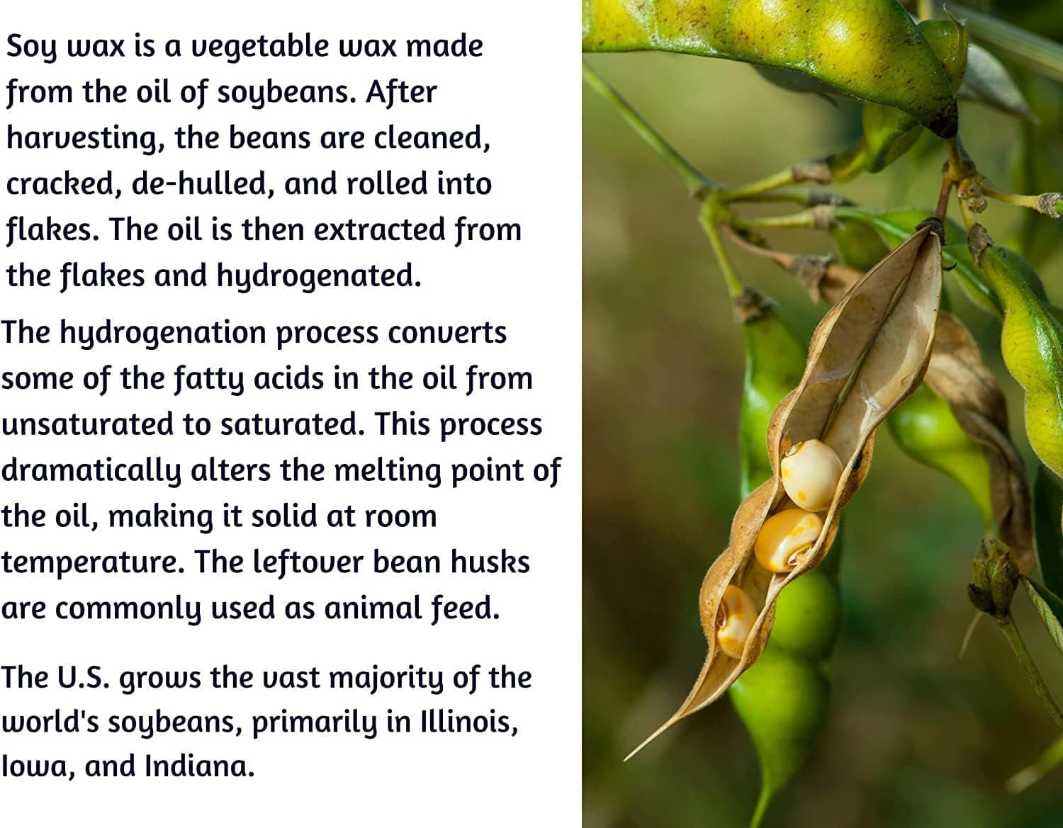 Soy Wax Melts, Bleu Ocean Lagoon Volcano Wax Melts Made with 100% Soy and Essential Fragrance Oils Pack of 3