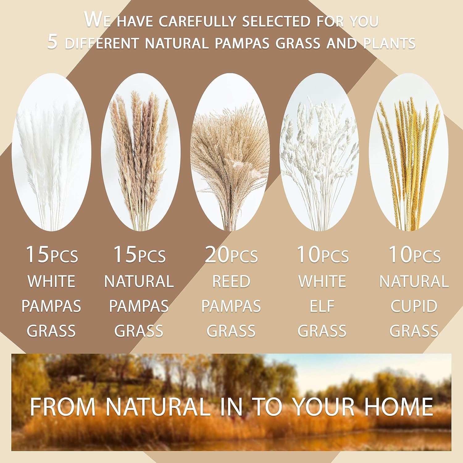 70PCS Natural Dried Pampas Grass Boho Home Decor Bouquet Phragmites Dried Flowers Bouquet for Wedding Floral Arrangements Home Decorations (70PCS)