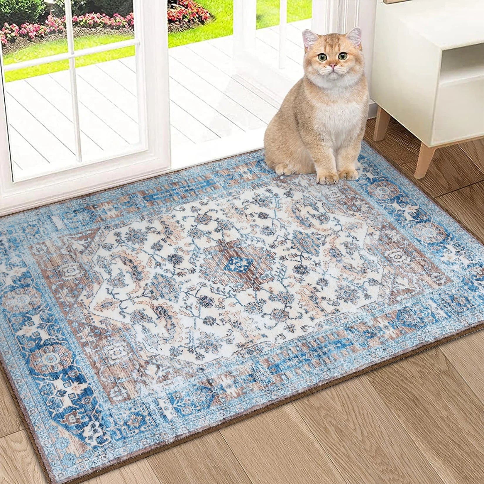 Glowsol Area Rugs Distressed Vintage Accent Carpet for Living Room Washable Rug