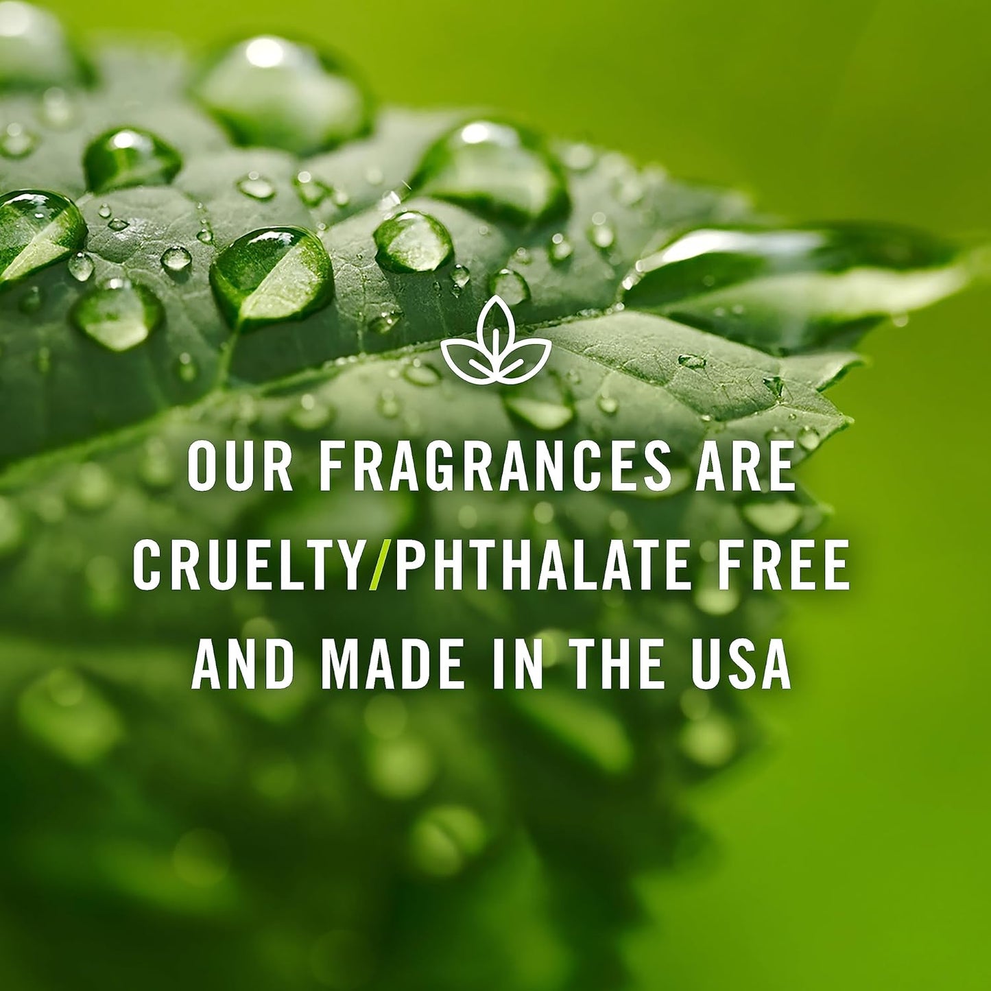 Nature Set of 6 Premium Grade Fragrance Oils - Forest Pine, Ocean Breeze, Rain, Fresh Cut Grass, Sandalwood, Bamboo - 10Ml