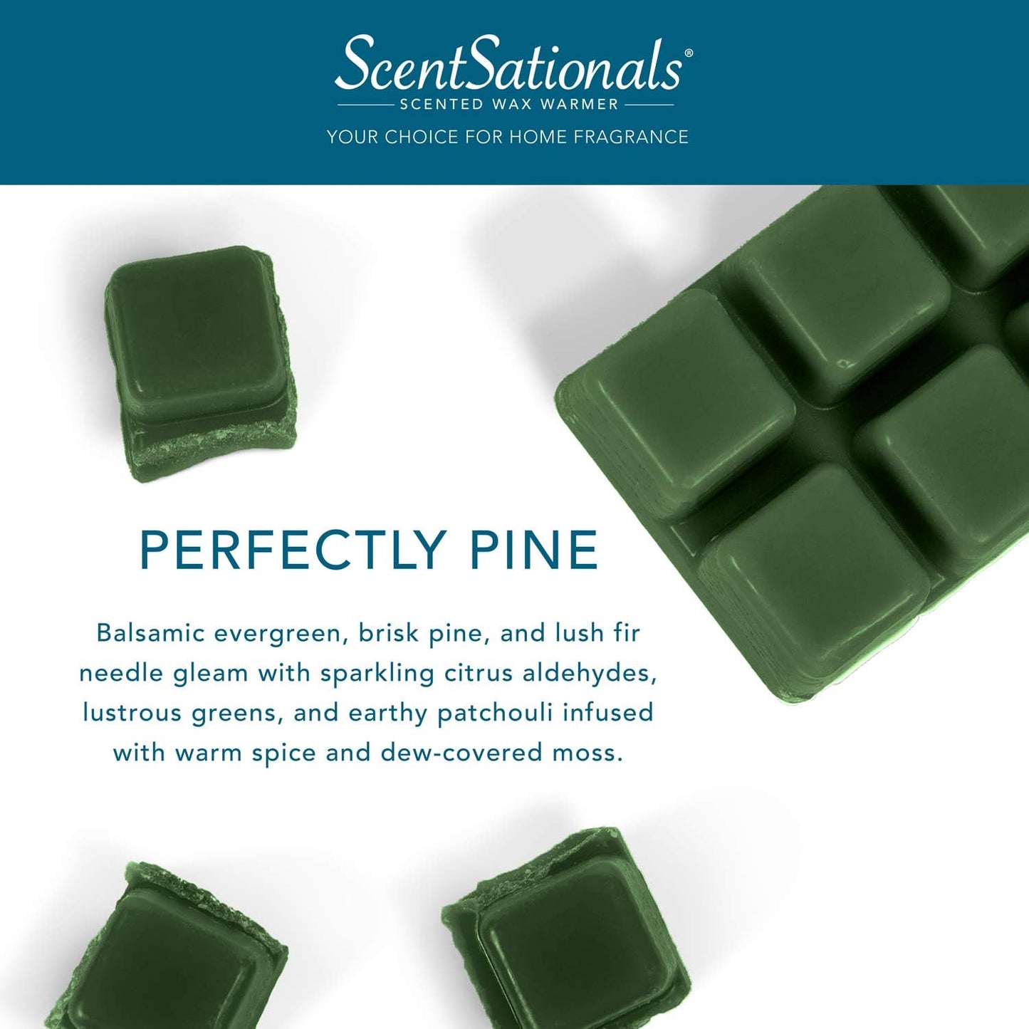 Scented Wax Fragrance Melts 5.0 Oz - Perfectly Pine - 12 Wax Cubes Pack, Home Warmer Tart, Electric Wickless Candle Bar Air Freshener, Spa Aroma Decor Gift - Value Pack