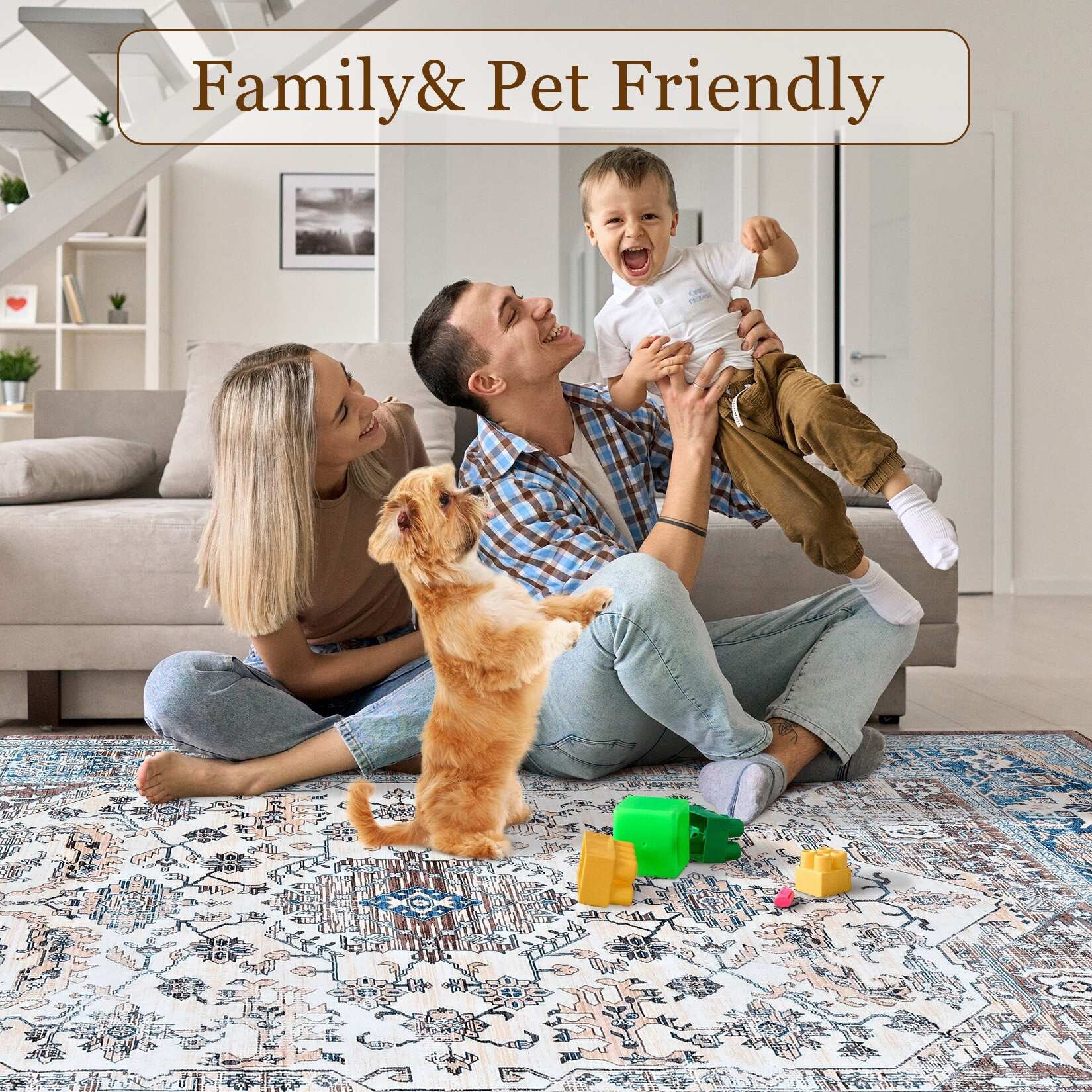 Glowsol Area Rugs Distressed Vintage Accent Carpet for Living Room Washable Rug