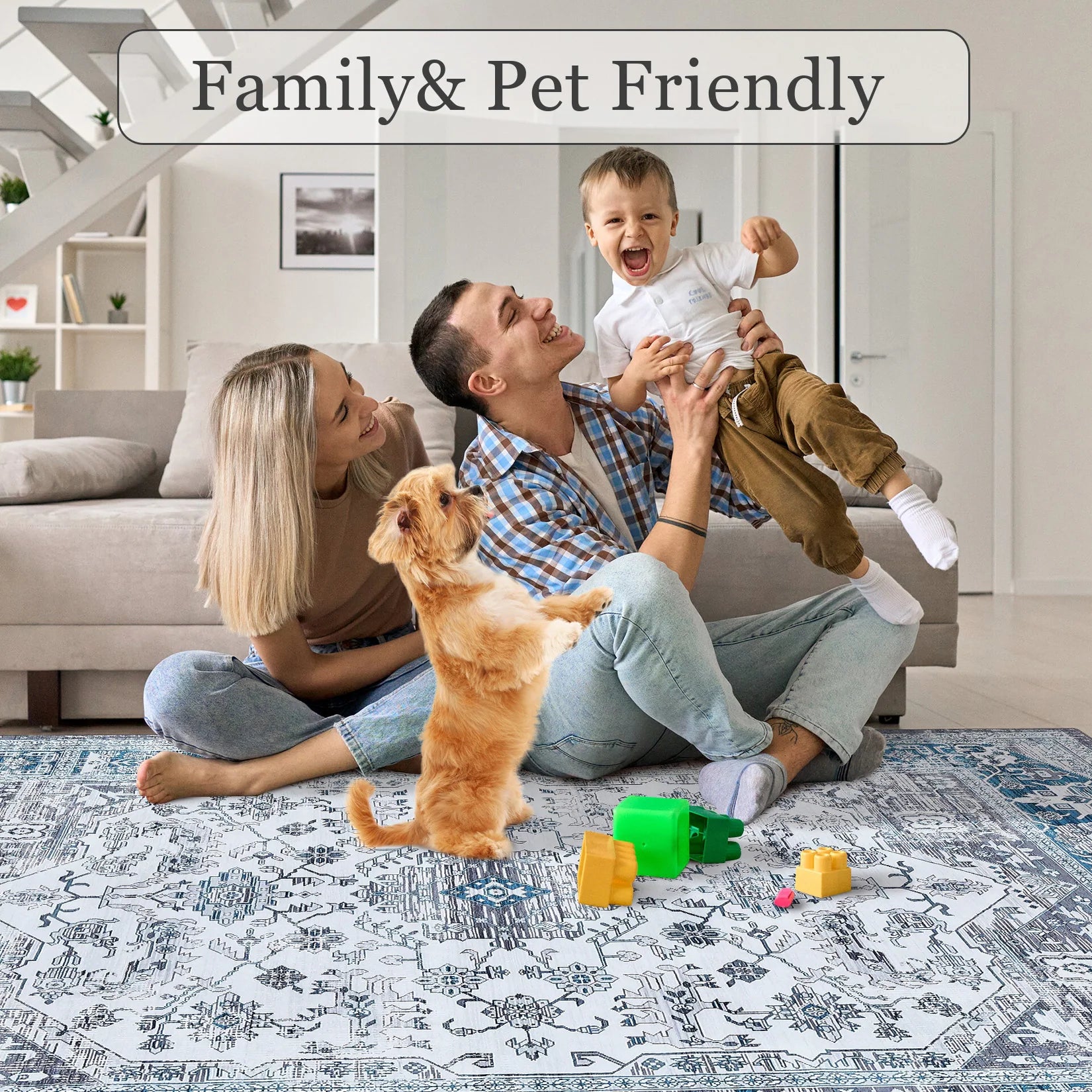 Glowsol Area Rugs Distressed Vintage Accent Carpet for Living Room Washable Rug