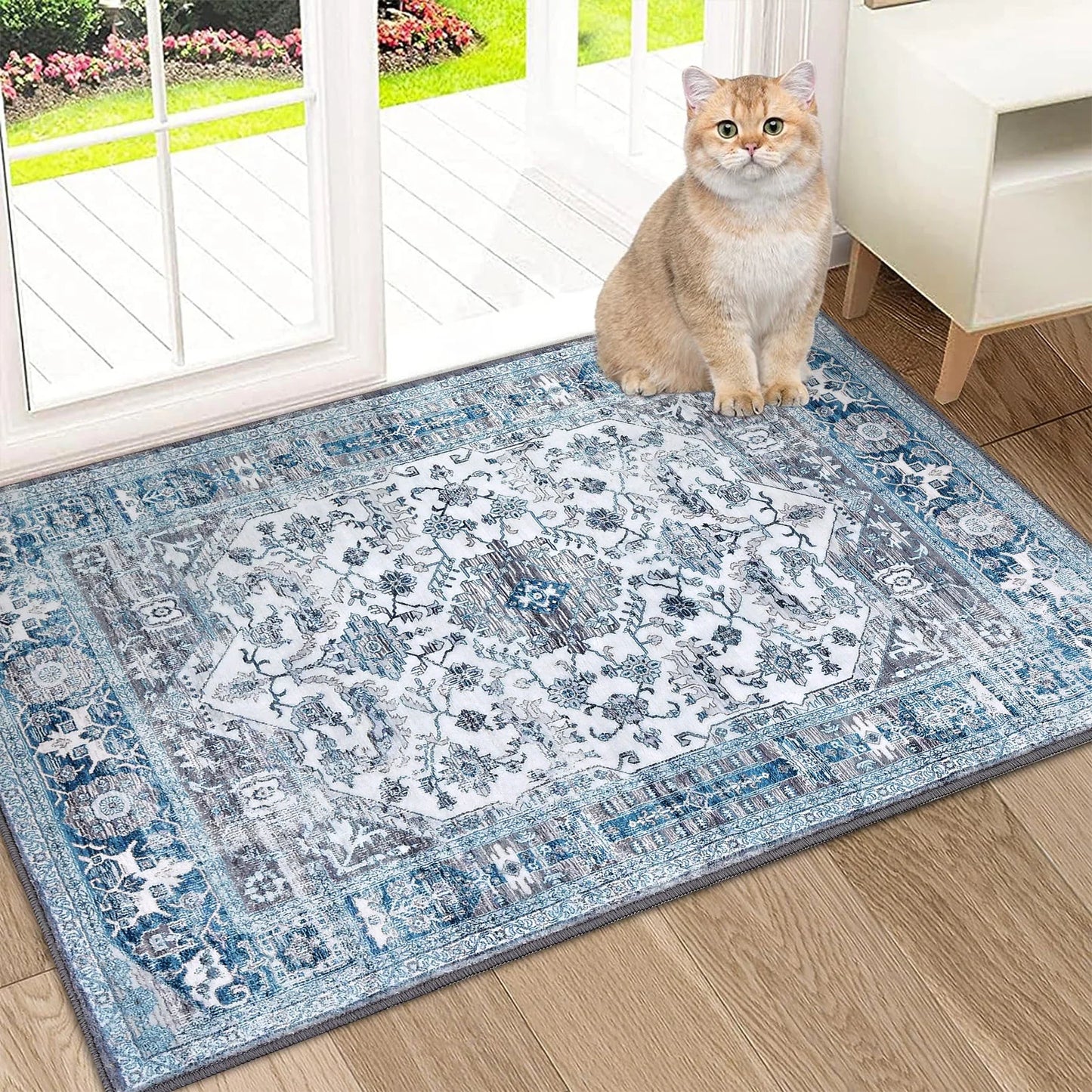 Glowsol Area Rugs Distressed Vintage Accent Carpet for Living Room Washable Rug