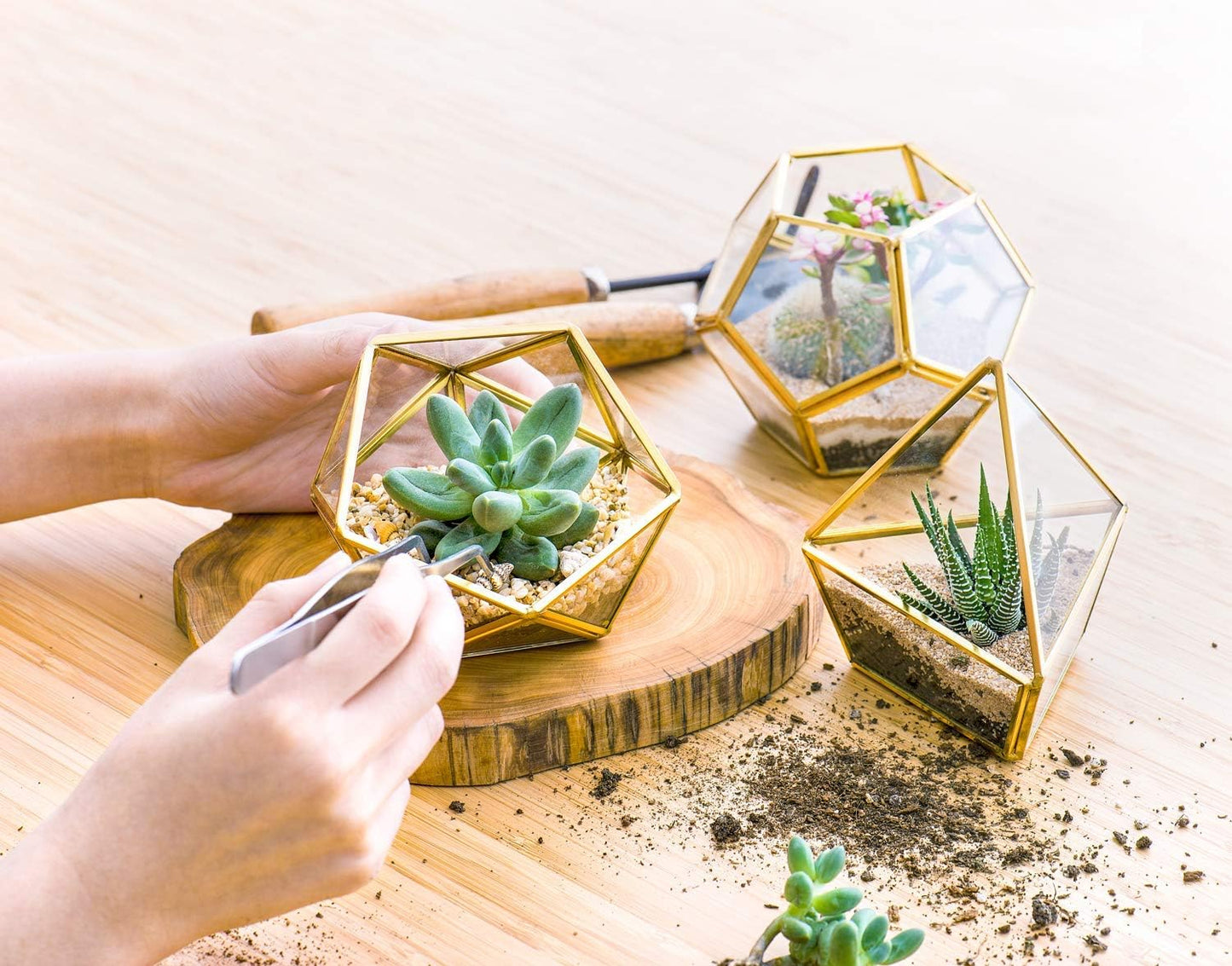 Artificial Succulent in 3 Pack Mini Glass Geometric Terrarium, Miniature Potted Faux Plant Bookshelf Desk, Gold
