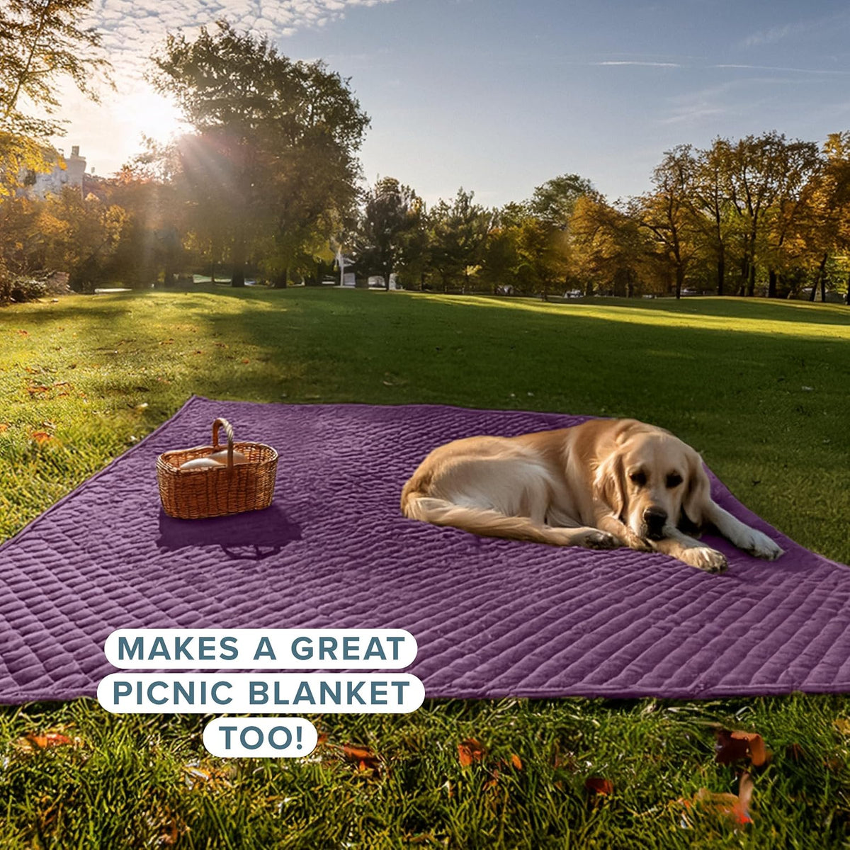 Coverlet Set - Twin/Twin Extra Long - Lightweight Bed Decor - Comforter Alternative - All-Season Quilted Bedspread (Twin/Twin XL, Plum)