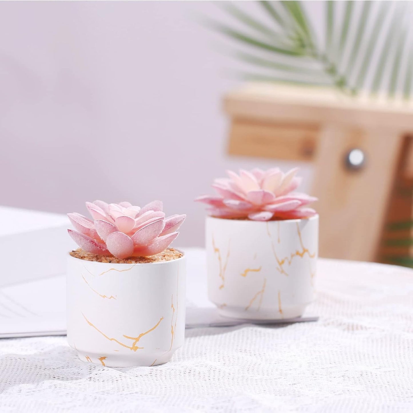 Artificial Plants and Succulents in 2 White Ceramic Pots, Small Fake Plants for Desk