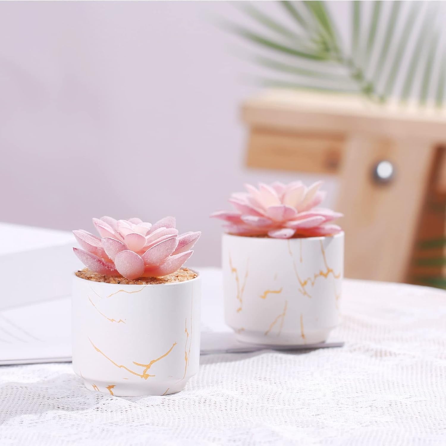 Artificial Plants and Succulents in 2 White Ceramic Pots, Small Fake Plants for Desk