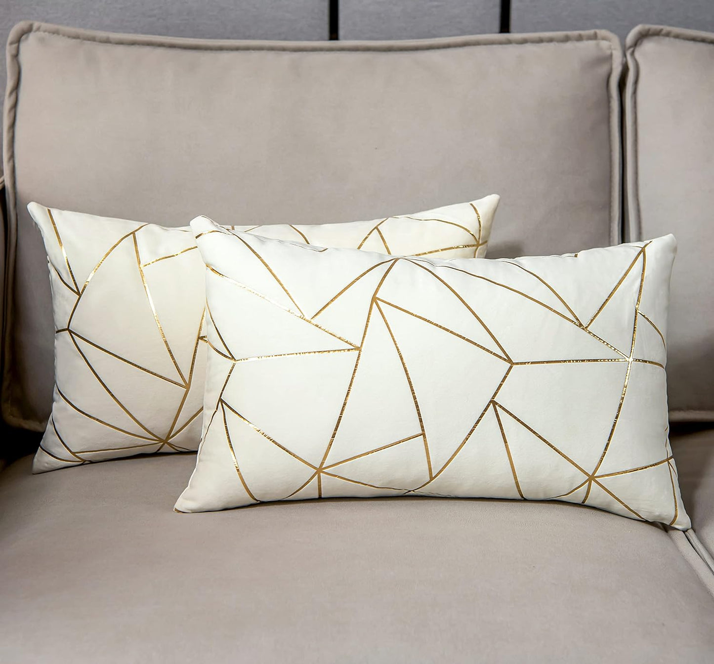 Pack of 2 Velvet Lumbar Throw Pillow Covers Velvet Decorative Soft Gold Foil Geometric Pattern Cute Cushion Case for Modern Homes Sofa Couch Bedroom Living Room Car (White and Gold, 12“X20”)