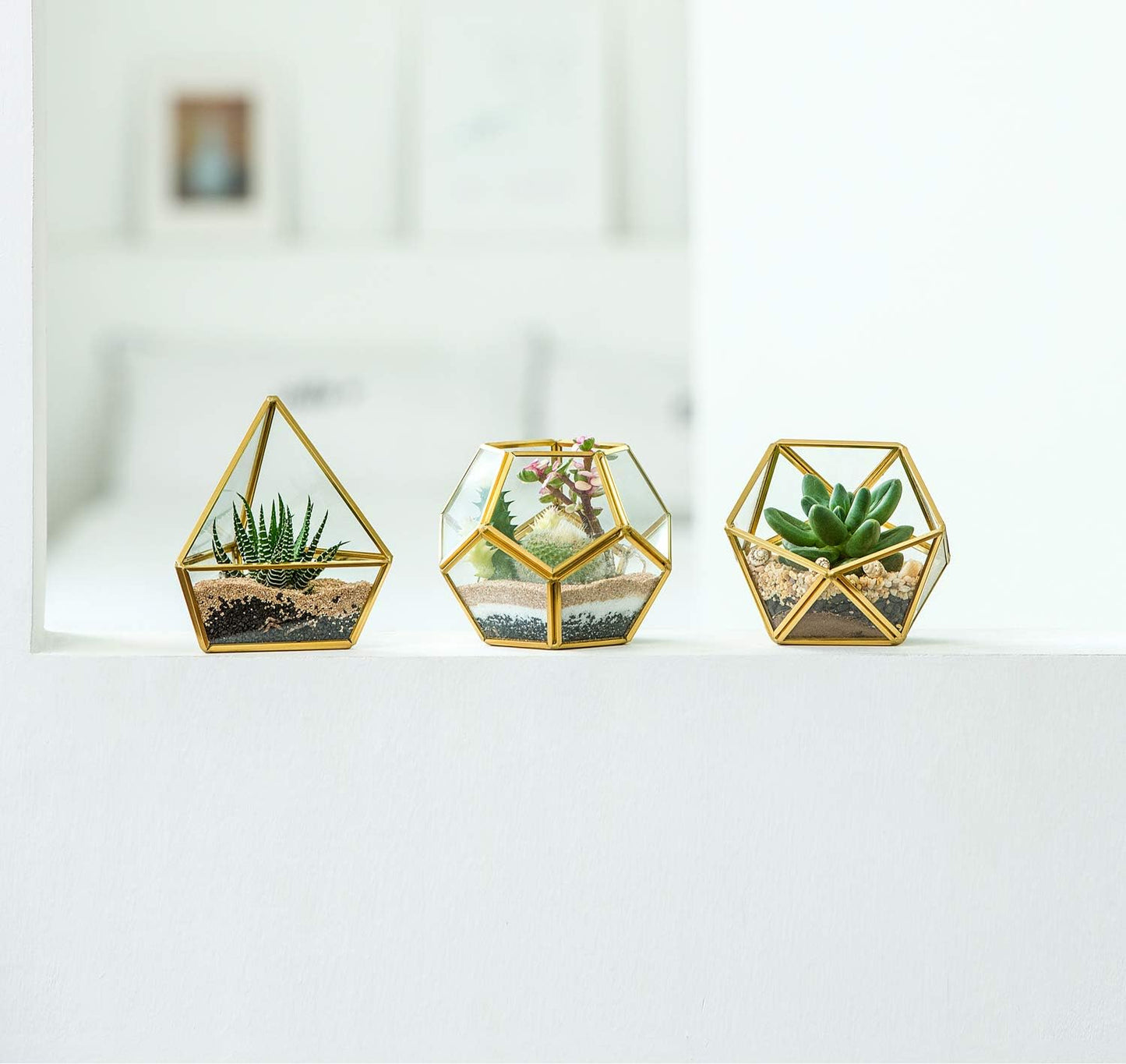 Artificial Succulent in 3 Pack Mini Glass Geometric Terrarium, Miniature Potted Faux Plant Bookshelf Desk, Gold
