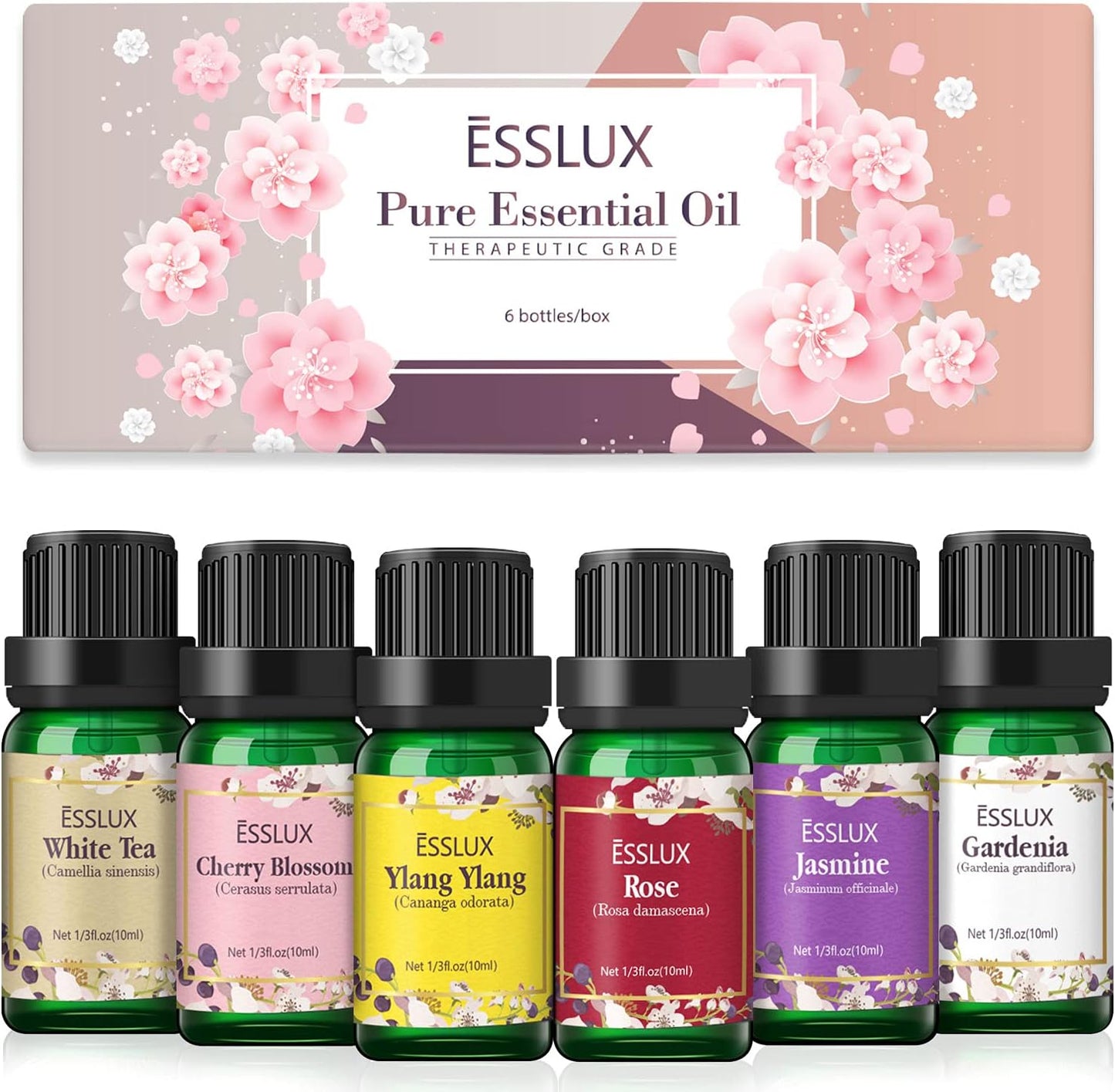 Essential Oils Set for Diffuser - Rose, Jasmine, Gardenia, Ylang-Ylang, White Tea, Cherry Blossom, 6 * 10Ml