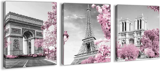 Paris Eiffel Tower Wall Decor Pink, Black, and White Pictures, Framed, Size 12X16 Each Panel