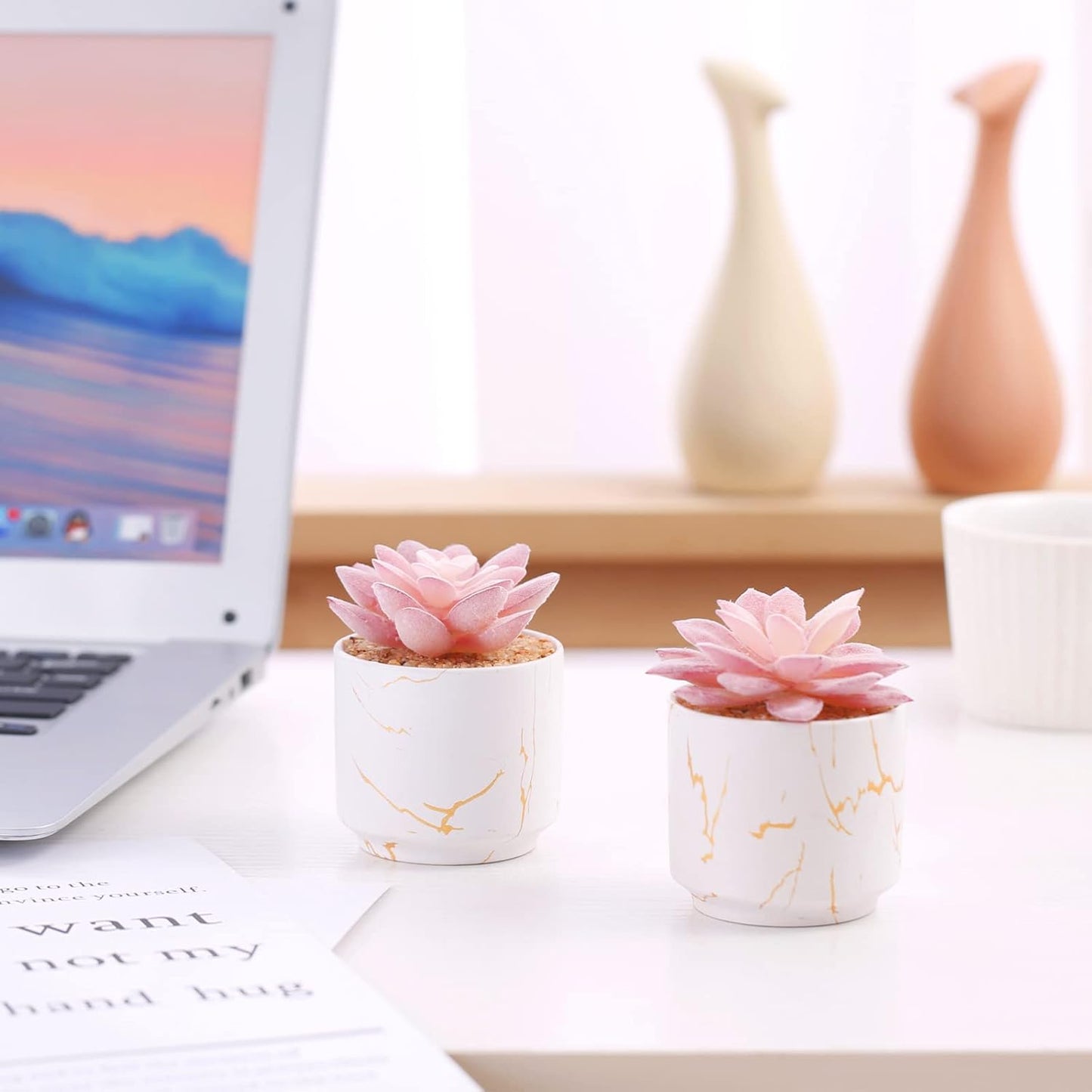 Artificial Plants and Succulents in 2 White Ceramic Pots, Small Fake Plants for Desk