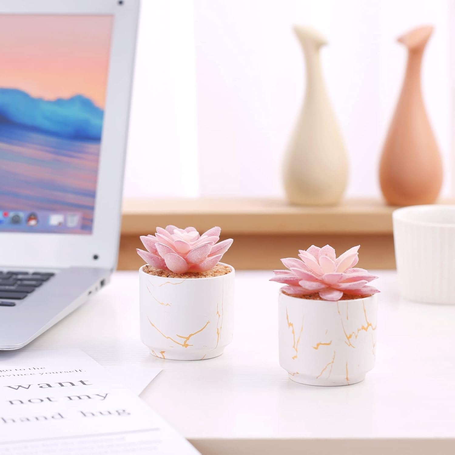Artificial Plants and Succulents in 2 White Ceramic Pots, Small Fake Plants for Desk