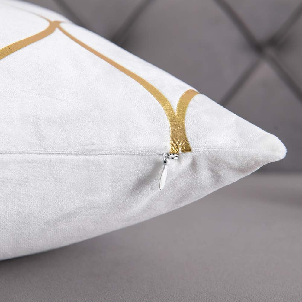 Gold Velvet Throw Pillow Covers off White: 2 Pack 12X20 Inch 