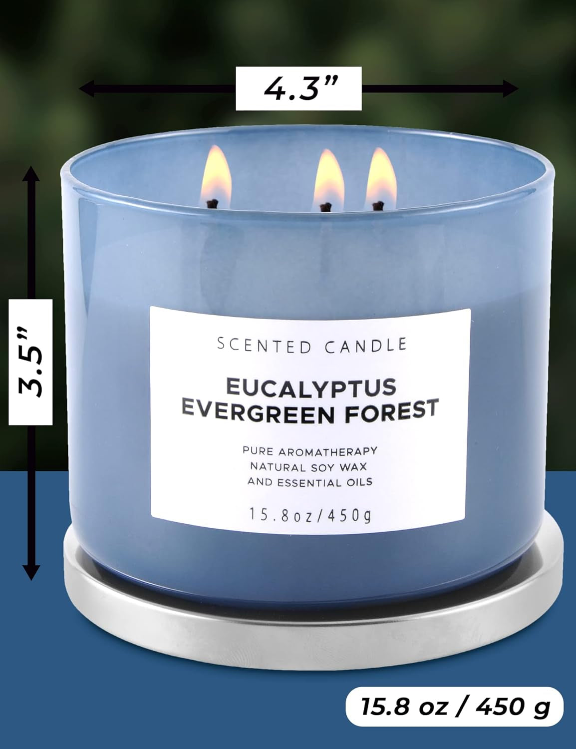 Eucalyptus Evergreen Forest Luxury 3 Wick Winter Pine Candle,15.8 Oz 