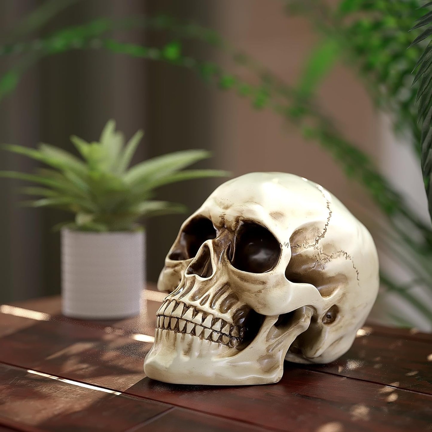 Resin Halloween Skull Statue, Human Head Model for Home Decoration, (White)