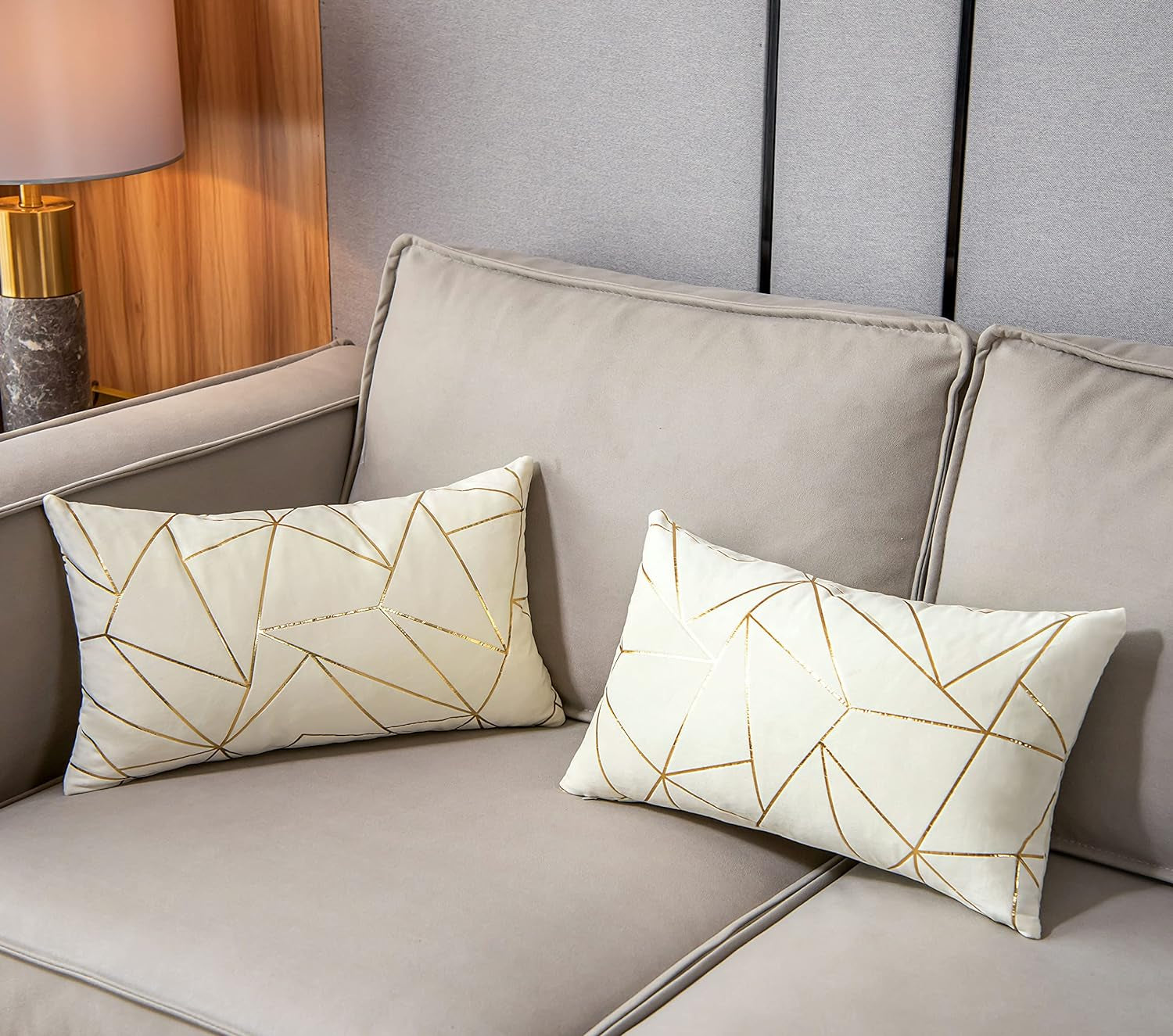 Pack of 2 Velvet Lumbar Throw Pillow Covers Velvet Decorative Soft Gold Foil Geometric Pattern Cute Cushion Case for Modern Homes Sofa Couch Bedroom Living Room Car (White and Gold, 12“X20”)