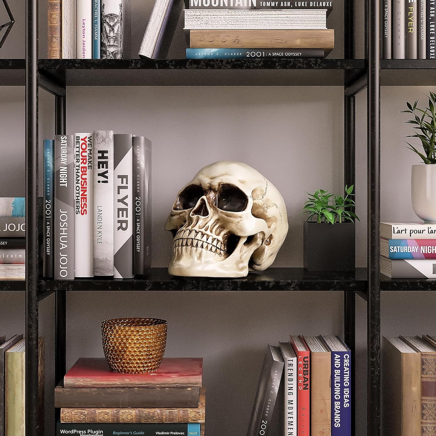 Resin Halloween Skull Statue, Human Head Model for Home Decoration, (White)