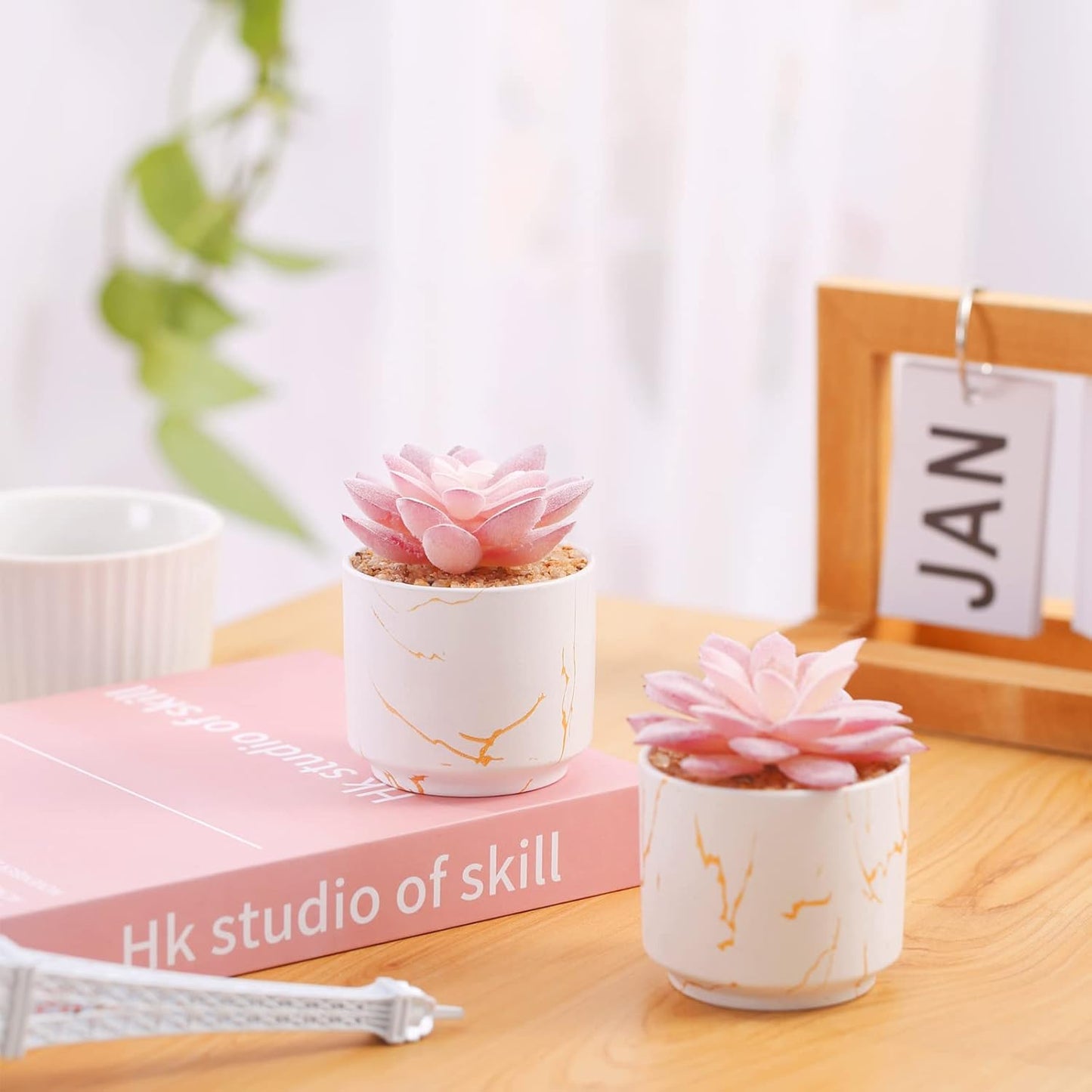 Artificial Plants and Succulents in 2 White Ceramic Pots, Small Fake Plants for Desk
