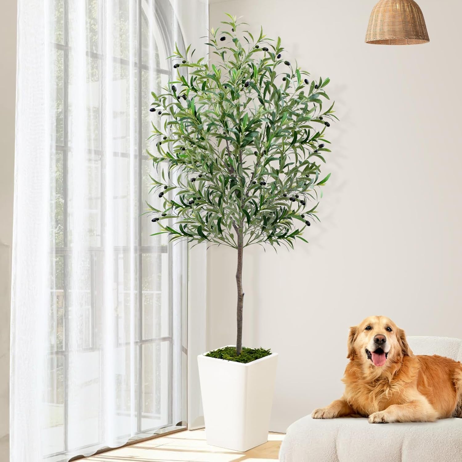 Tall Faux Silk Plant with Pot, Olive Tree Artificial Indoor 6Ft