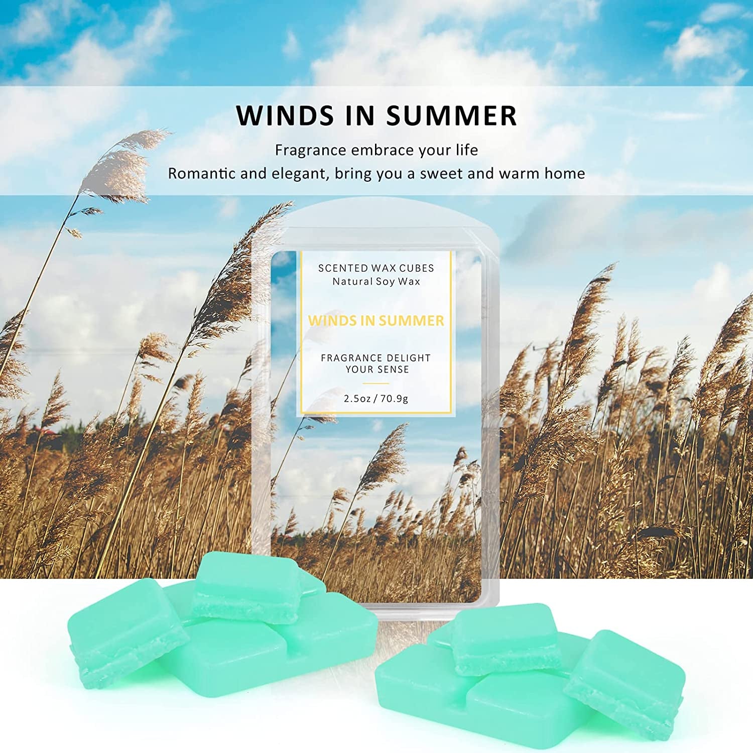 Scented Wax Melts, Wax Melts Wax Cubes, Soy Wax Cubes for Warmer Wax Melts Gift Set Ocean Breeze, Fresh Linen, Bohemia Forest, Winds in Summer (4 X 2.5Oz)