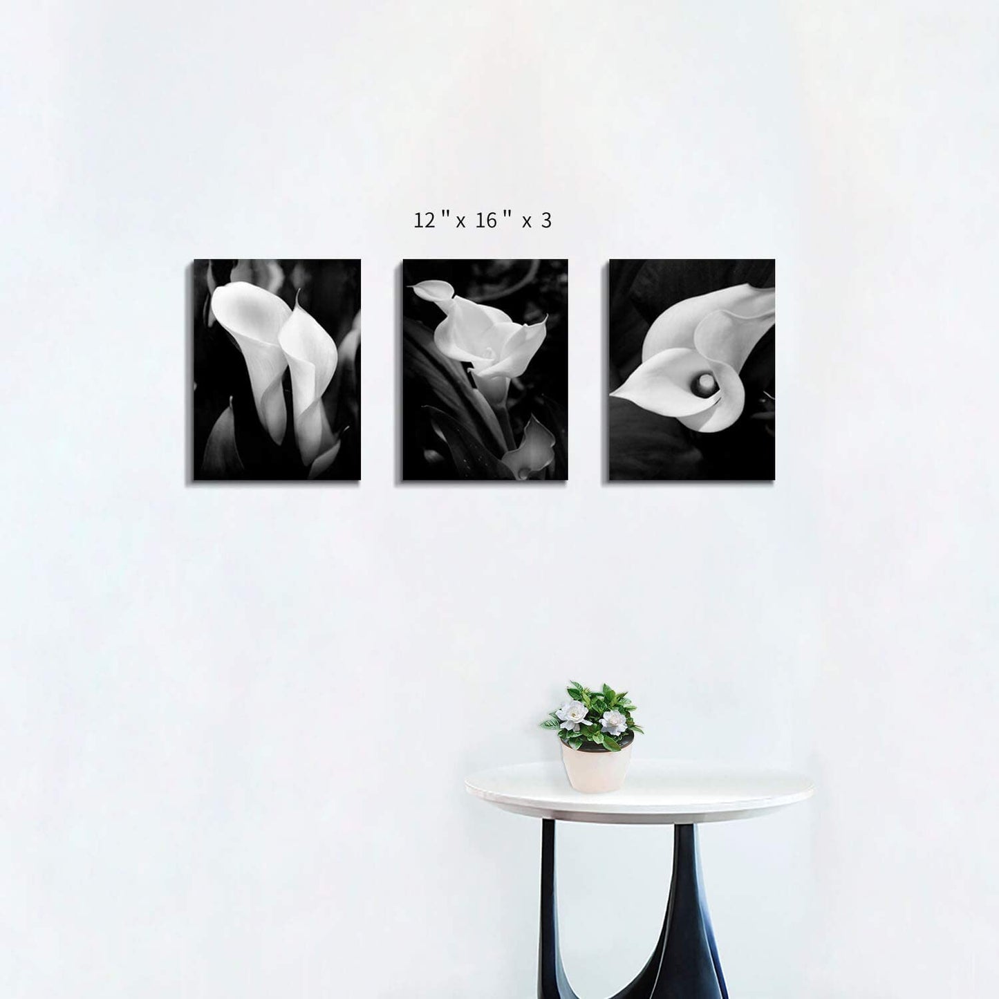 Flower Painting Picture: Calla-Lily Print (16”X12”X3Pcs)