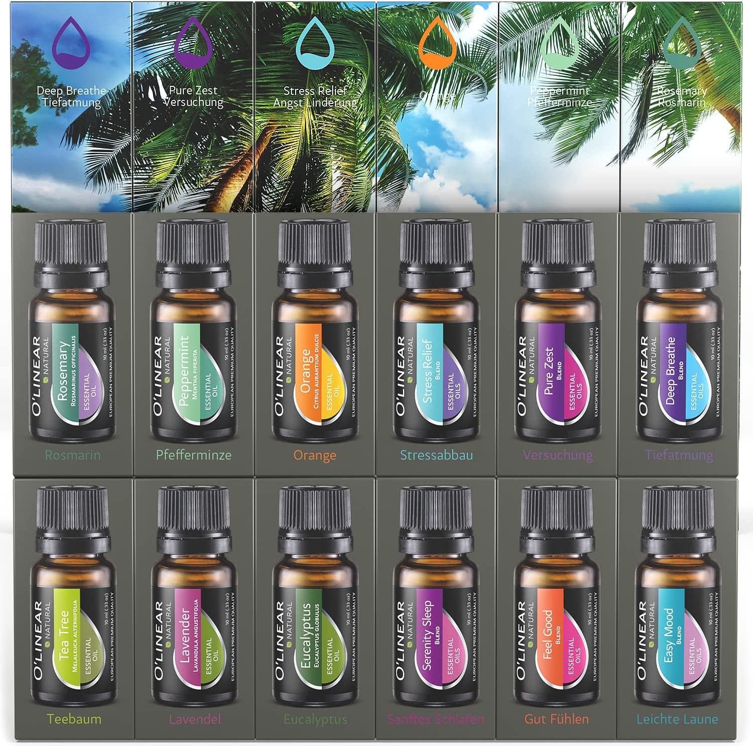 Essential Oils for Diffusers Aromatherapy Set - Top 12 Blends and Humidifier Perfect Starter Kit 6 & (10Ml) Pure Scents Woman Men Gift
